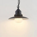 Zynaris Outdoor Pendant Light