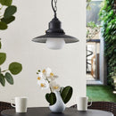 Zynaris Outdoor Pendant Light