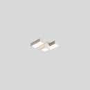 Zyndor Ceiling Light