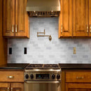 Abani stak 11.81x11.81 honed marble meshmounted mosaic tile SMOT-ABANI-2X6H product shot kitchen view