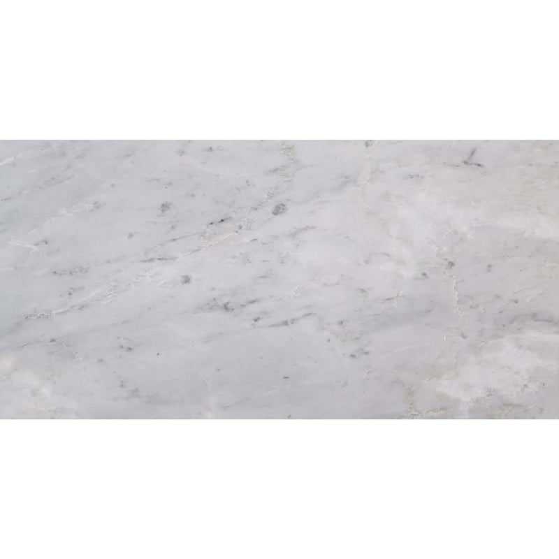 Arabescato carrara 12 x 24 honed marble floor and wall tile TARACAR12240.38H product shot one tile top view
