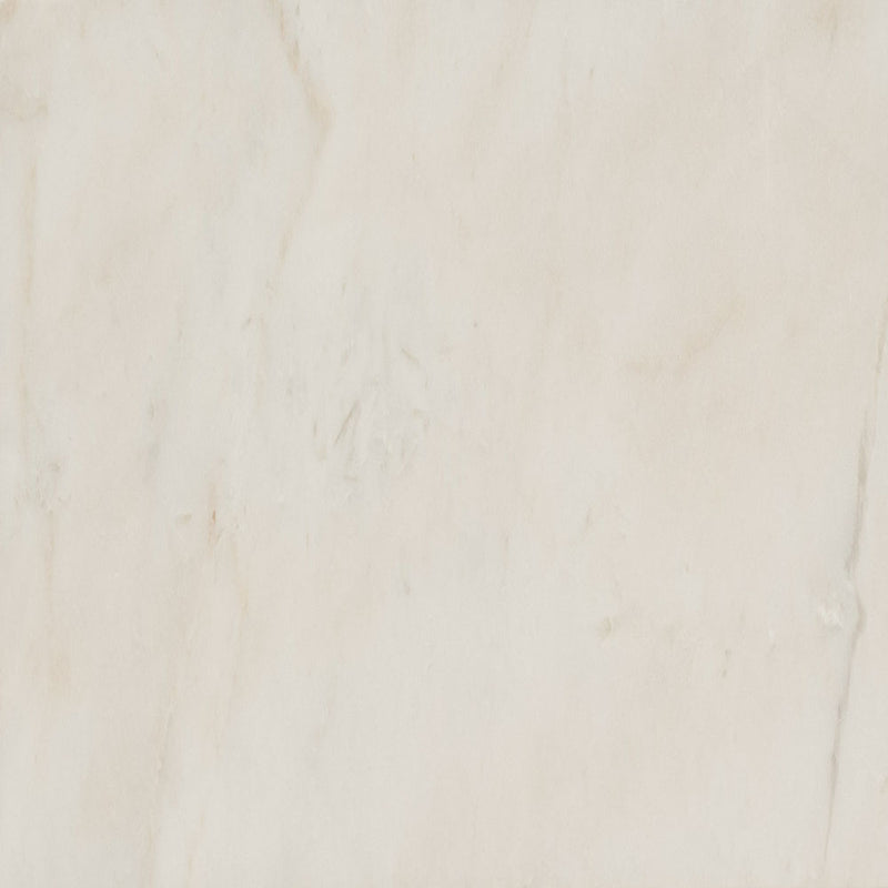 Arabescato venato white 4x12 honed marble subway tile TARAVEN412H product shot wall view