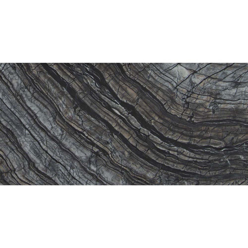 Black oak 12 in x 24 in polished marble floor and wall tile TBLKOAK12240.38P product shot one tile top view