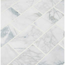 Calacatta cressa 3 in x 6 in honed marble floor and wall tile TCALCRE36H product shot one tile top view