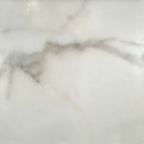 Calacatta gold 12 in x 12 in honed marble floor and wall tile TCALAGOLD1212H product shot one tile top view