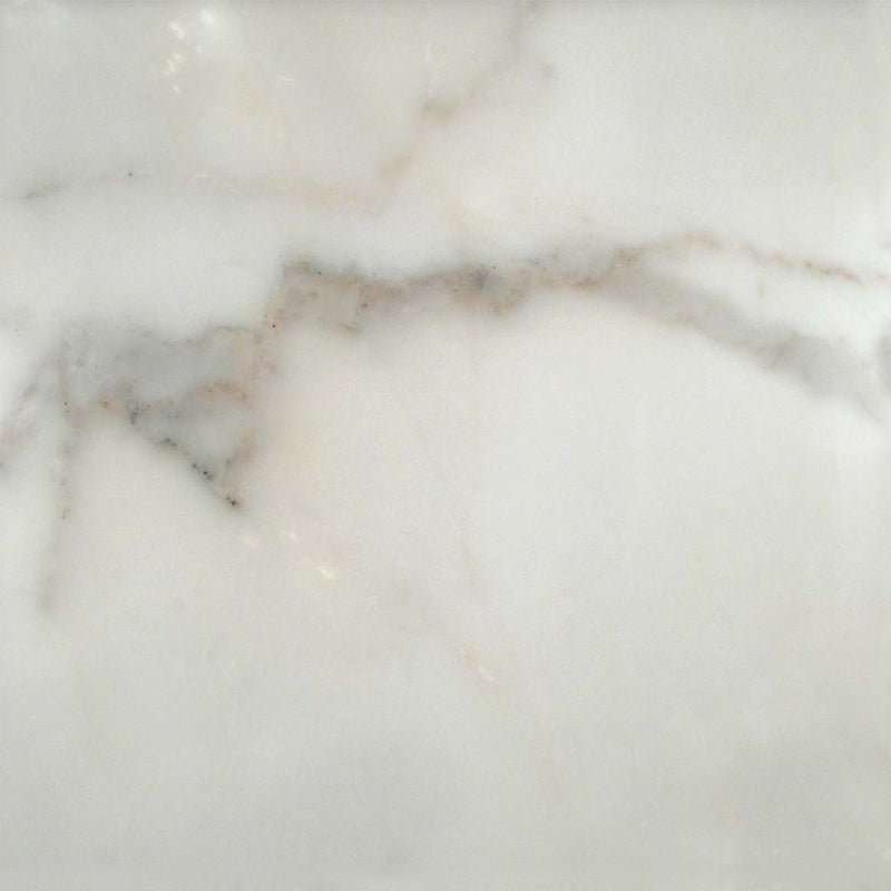 Calacatta gold 12 in x 12 in honed marble floor and wall tile TCALAGOLD1212H product shot one tile top view