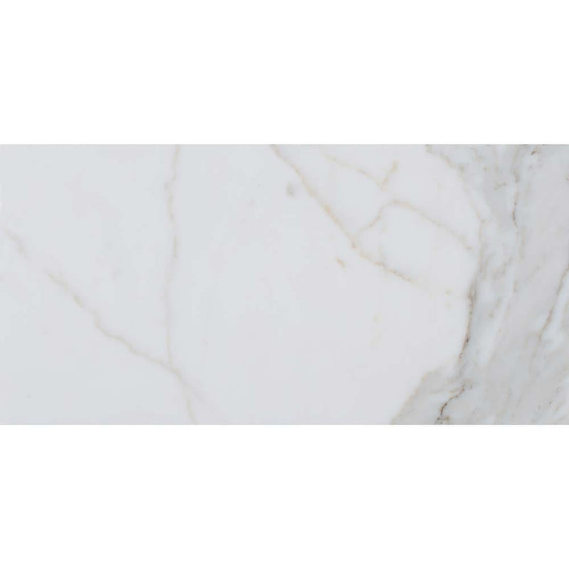 Calacatta gold 12 in x 24 in polished marble floor and wall tile TCALAGLD1224 product shot one tile top view