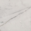 Calacatta gold 18 in x 18 in polished marble floor and wall tile TCALAGLD1818 product shot one tile top view