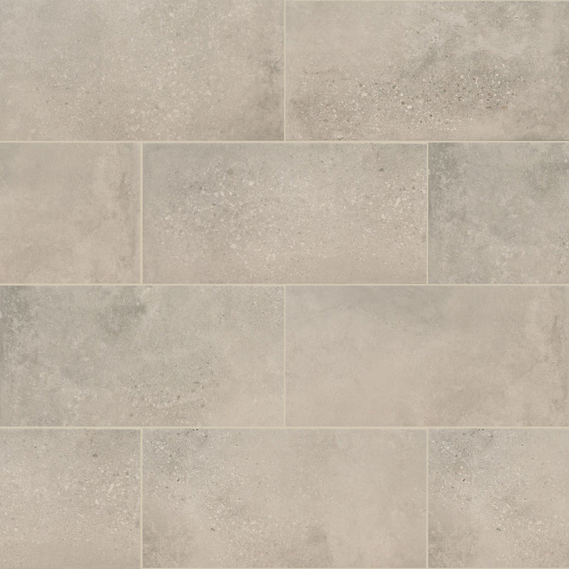 Calypso ash 12x24 matte  porcelain floor and wall tile  msi collection NCALASH1224 product shot wall view 2
