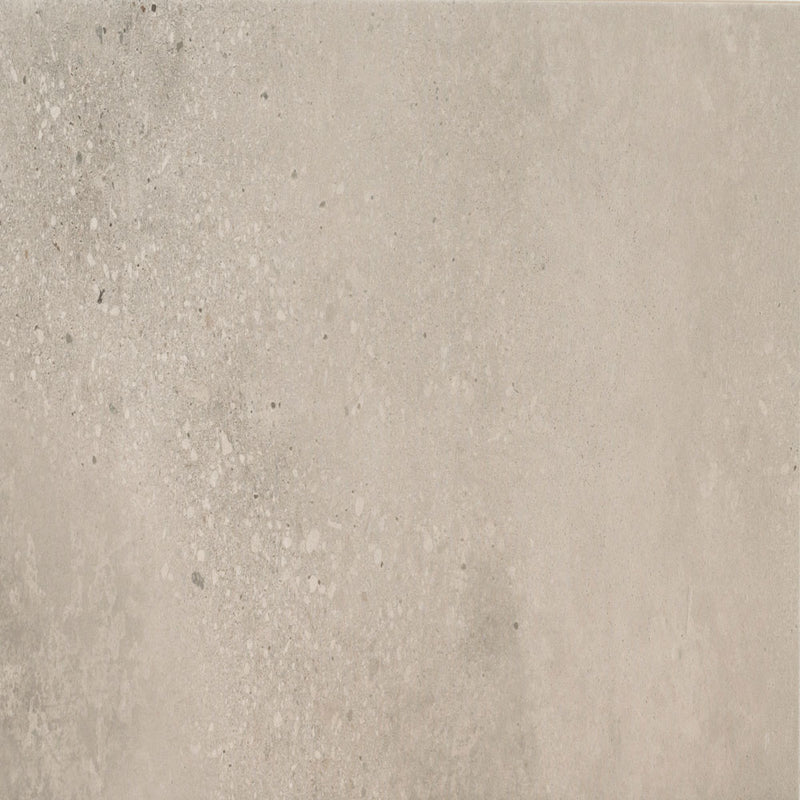 Calypso ash 12x24 matte  porcelain floor and wall tile  msi collection NCALASH1224 product shot wall view