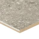 Calypso graphite 24x48 matte  porcelain floor and wall tile  msi collection NCALGRA2448 product shot profile view