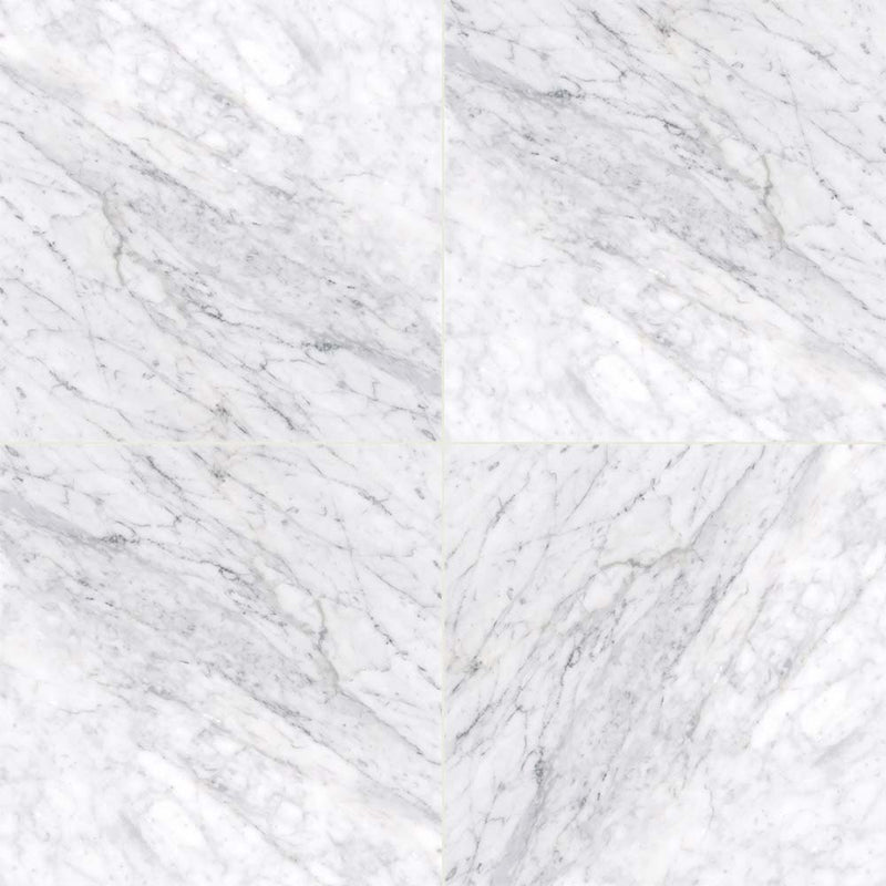 Carrara white 12 in x 12 in polished marble floor and wall tile TCARRWHT1212 product shot multiple tiles top view
