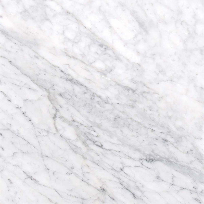Carrara white 12 in x 12 in polished marble floor and wall tile TCARRWHT1212 product shot one tile top view