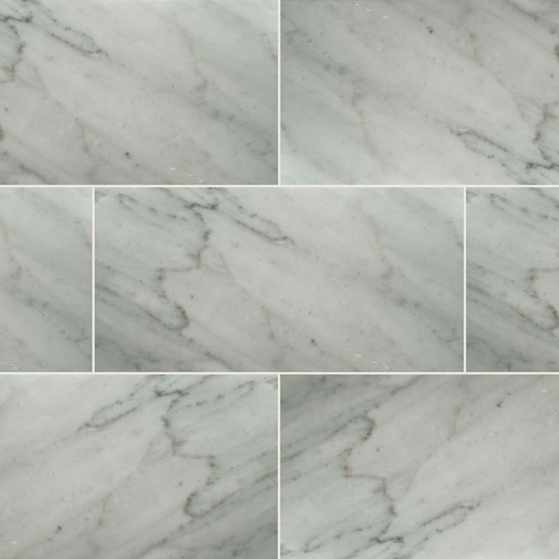 Carrara white 12 in x 24 in honed marble floor and wall tile TCARRWHT1224H product shot multiple tiles top view