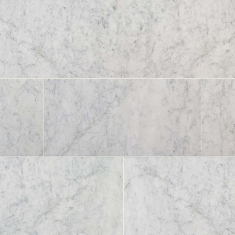 Carrara white 12 in x 24 in polished marble floor and wall tile TCARRWHT1224 product shot multiple tiles top view