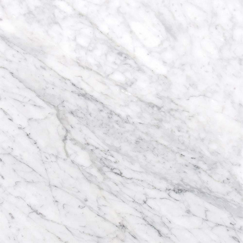 Carrara white 18 in x 18 in polished marble floor and wall tile TCARRWHT181838 product shot one tile top view
