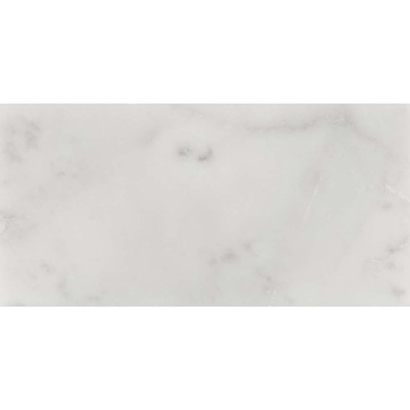 Carrara white 3 in x 6 in honed marble floor and wall tile TCARWHT36H product shot one tile top view