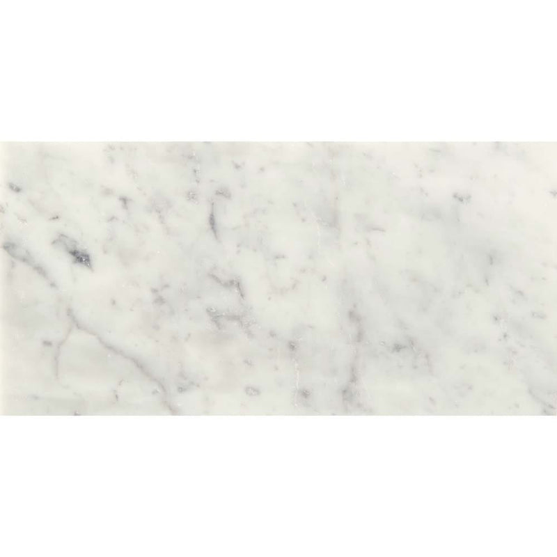 Carrara white 6 in x 12 in polished marble floor and wall tile TCARWHT612P product shot one tile top view