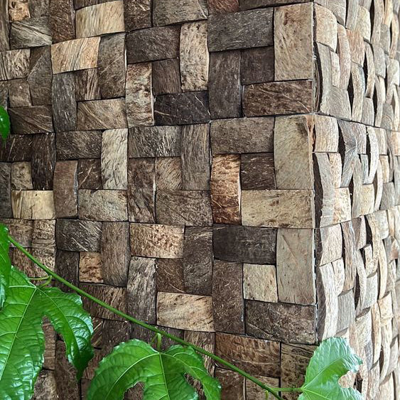 Coconut shell basketweave Mesh mounted Mosaic Wall Tile 911004 installed corner inside house plant