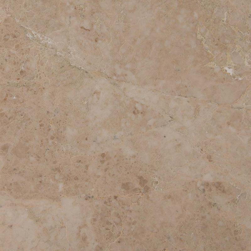 Crema cappuccino 12 x 12 polished marble floor and wall tile TTCAPU1212P product shot one tile top view