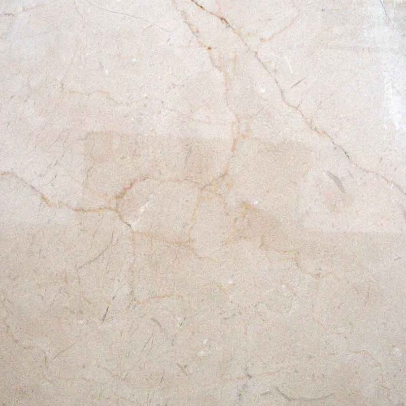 Crema marfil 18 in x 18 in select polished marble floor and wall tile TCREMAR1818SL product shot top view