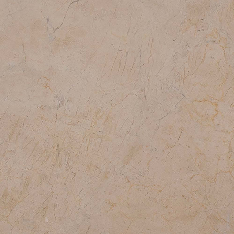 Crema marfil classic 12 in x 12 in honed marble floor and wall tile TCREMAR1212H product shot one tile top view