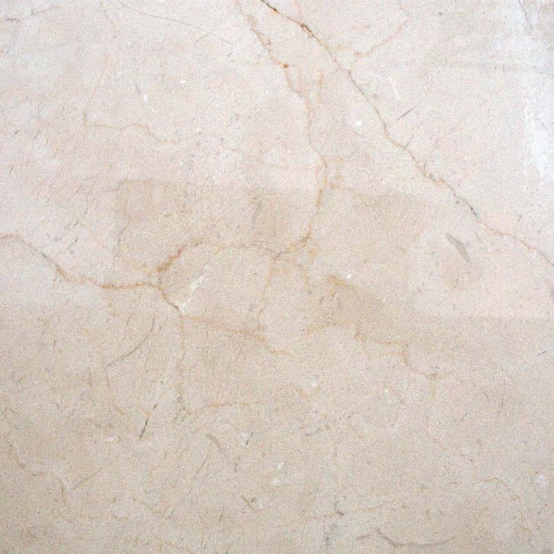 Crema marfil select 18 in x 18 in honed marble floor and wall tile TCREMAR181850SL product shot one tile top view