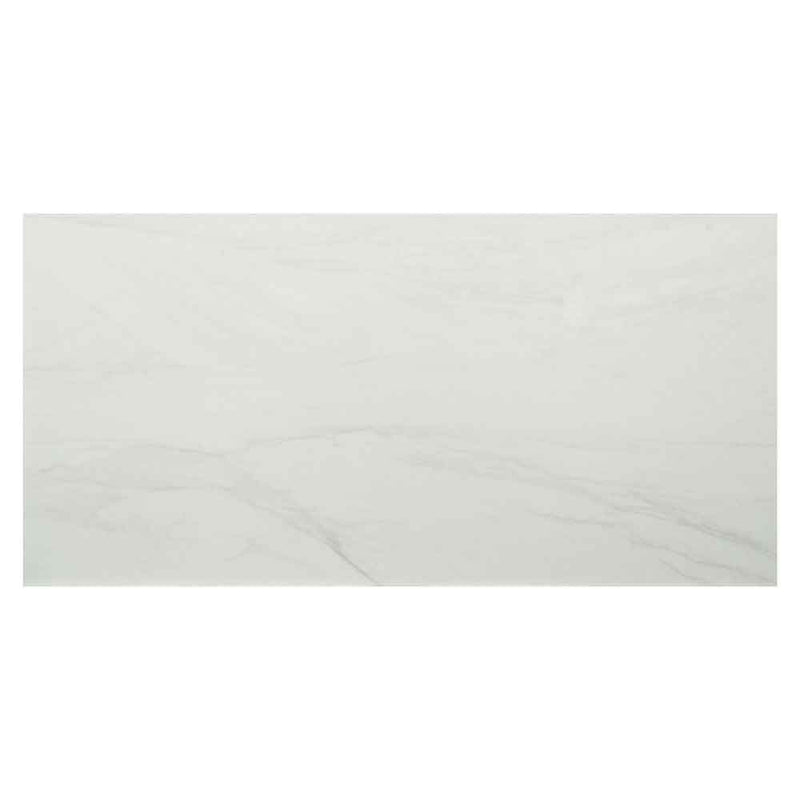 MSI Durban White 24" x 48" Matte Porcelain Floor and Wall Tile