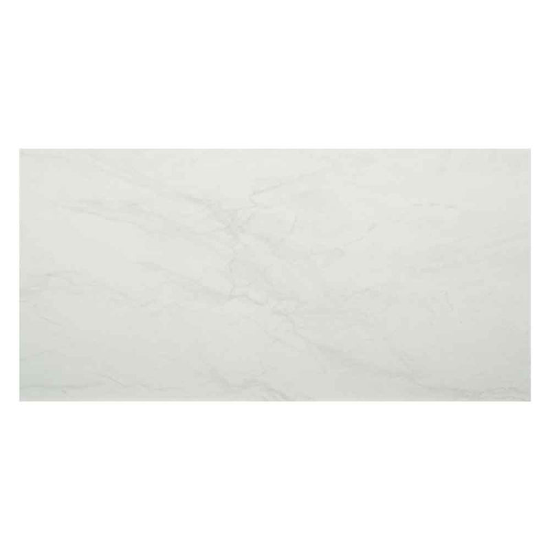 Durban white  24x48 matte porcelain floor and wall tile NDURWHI2448 product shot wall view