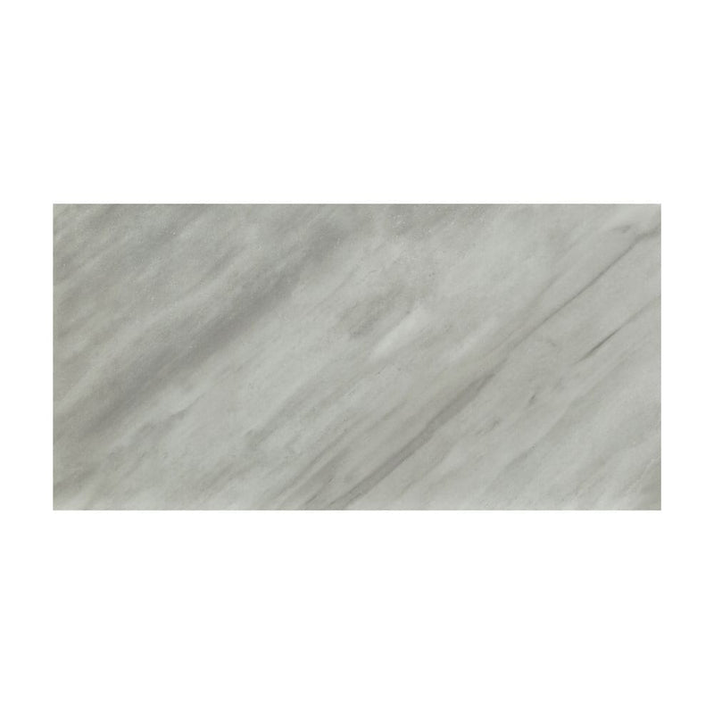 Eden bardiglio 12x24 matte porcelain floor and wall tile NEDEBAR1224 single tile top view pattern 1