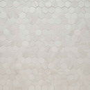 Eden dolomite 12x12 2hexagon porcelain matte meshmounted mosaic tile NEDEDOL2X2HEX product shot wall view