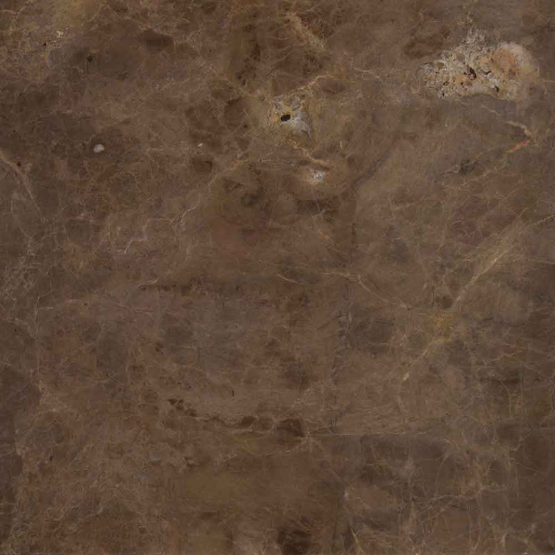 Emperador dark 18 in x 18 in polished marble floor and wall tile TEMPDRK181838 product shot wall view