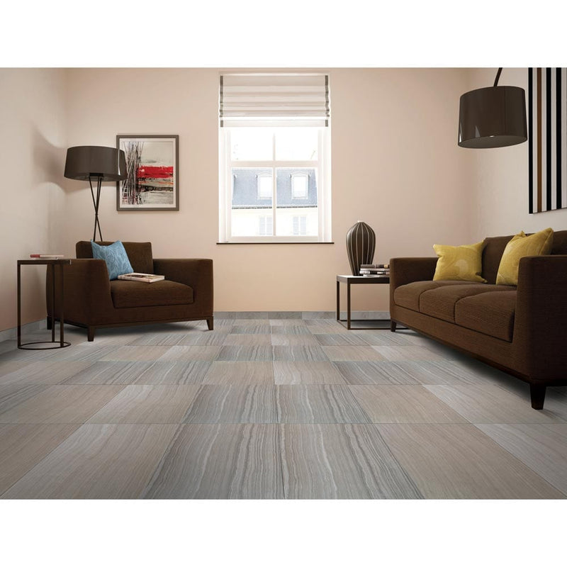 Eramosa Silver 12"x24" Glazed Porcelain Floor and Wall Tile - MSI Collection