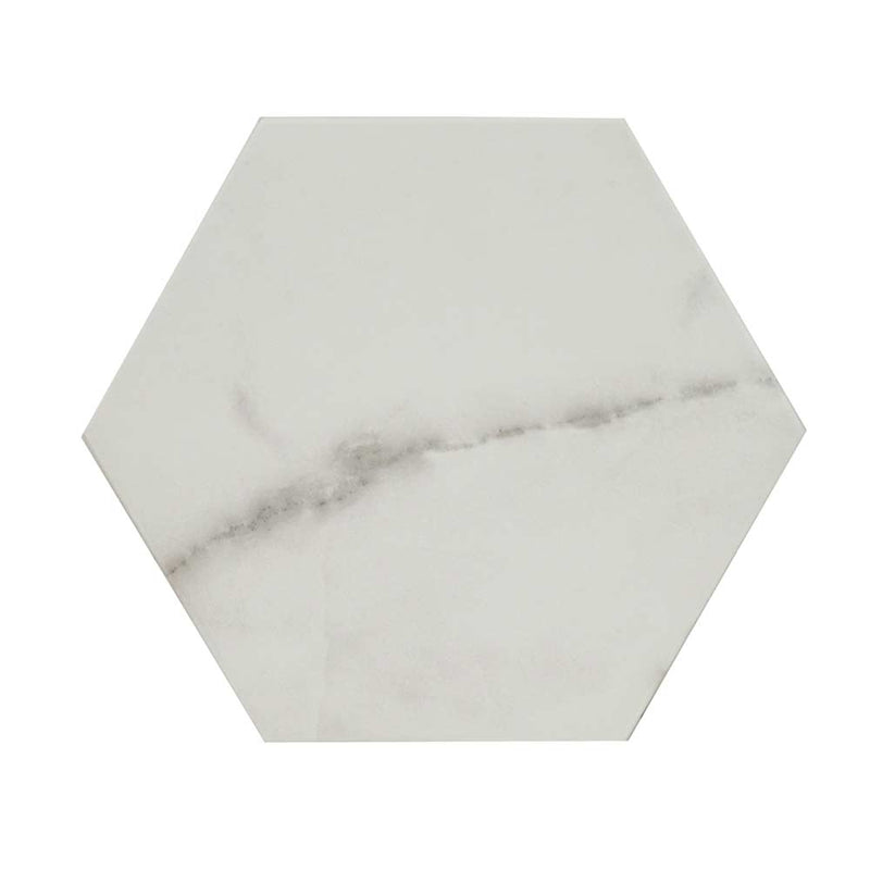 Hexley marbello 9x10.5 hexagon matte porcelain field tile  msi collection NHEXMAR9X10.5HEX product shot tile view 4