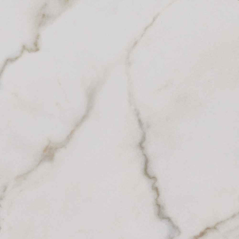 Kaya calacatta lucca 24x24 polished porcelain floor and wall tile msi collection NKAYCALLUC2424P product shot wall view