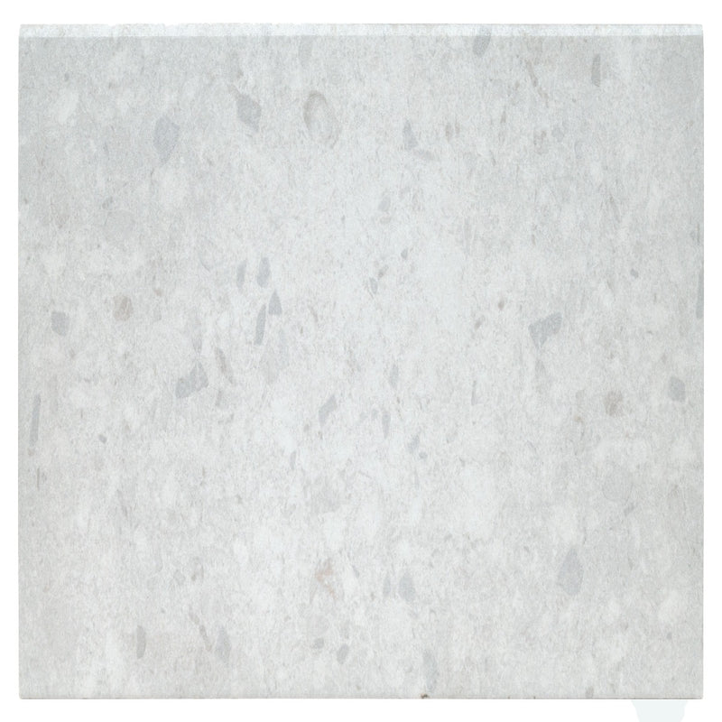 Arterra Terrazo Glacier 13"x24" Porcelain Pool Coping - MSI Collection product shot tile view