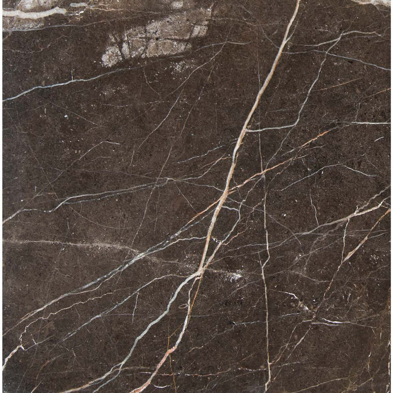 Laurent brown 12 in x 12 in polished marble floor and wall tile TCLAUBRN1212 product shot one tile top view