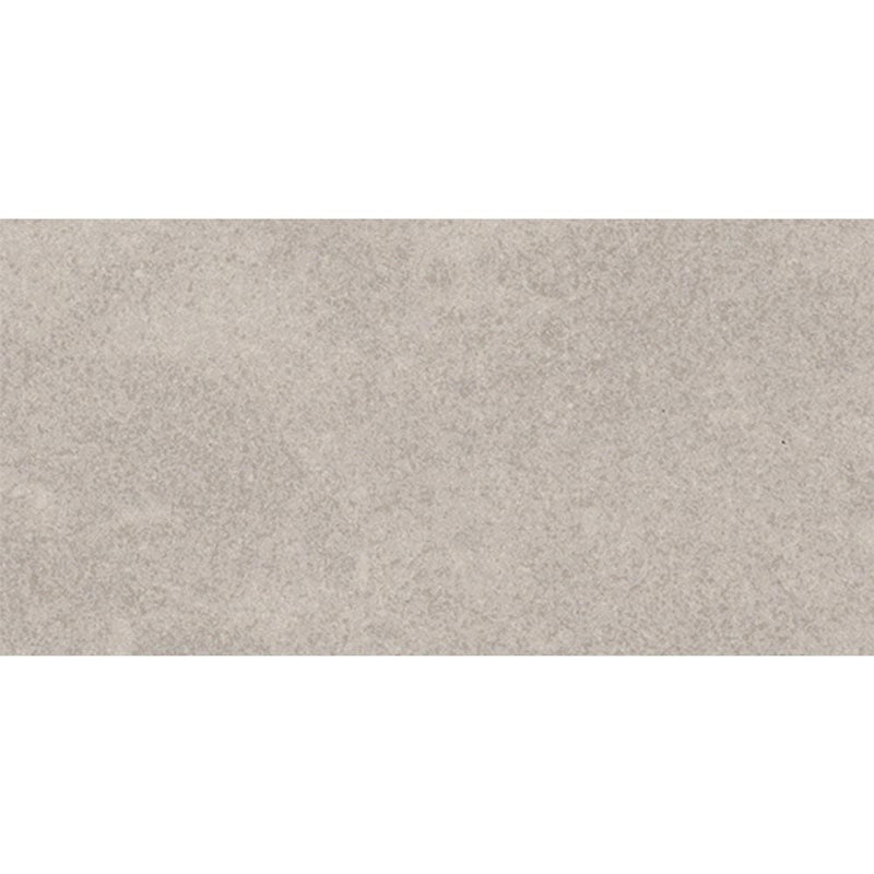 Luxe Delorian Grey Matte Porcelain Floor and Wall Tile-24"X24"-Liberty US Collection