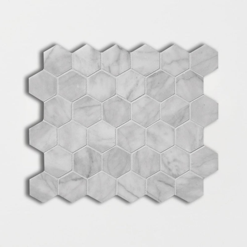 Cararra Honed 10 3/8"x12" Hexagon Marble Mosaic product shot tile view