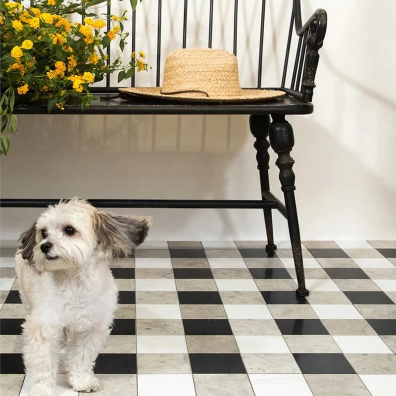 Britannia Light Snow White Black 16"x16" Honed Limestone 4"x4" Mosaic Tile product shot sofa view