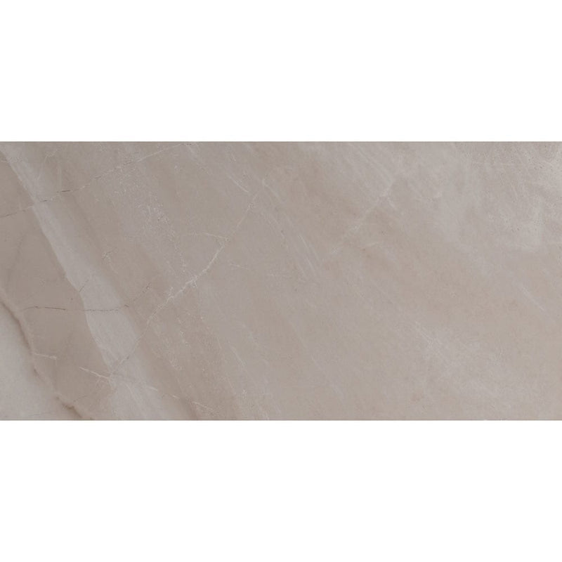 MSI Adella Gris 12x24 marble look glazed ceramic wall tile NADEGRI1224 product shot one tile top view