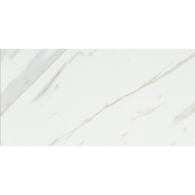 MSI Pietra Calacatta 12x24 marble look glazed porcelain floor wall tile NCAL1224 product shot one tile top view