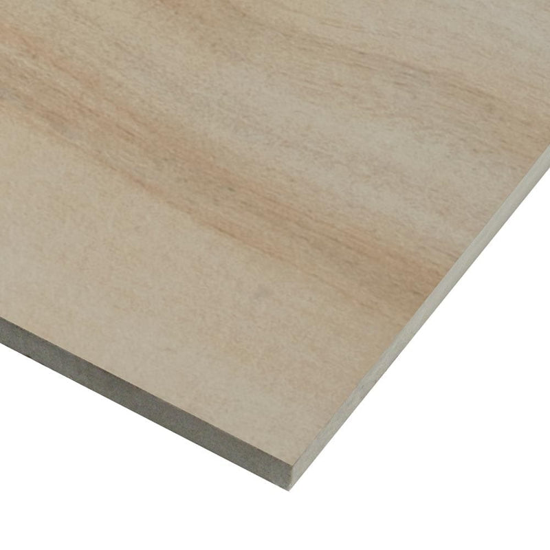 MSI Wood Collection aspenwood artic 9x48 NASPART9X48 glazed ceramic floor wall tile product shot one plank profile view