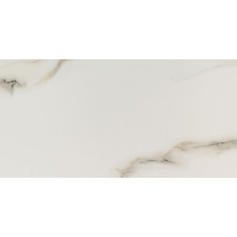 MSI aria bianco 12x24 polished porcelain floor wall tile NARIBIA1224P product shot one tile top view
