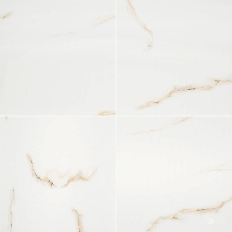 MSI aria bianco 24x24 polished porcelain floor wall tile NARIBIA2424P product shot multiple tiles top view