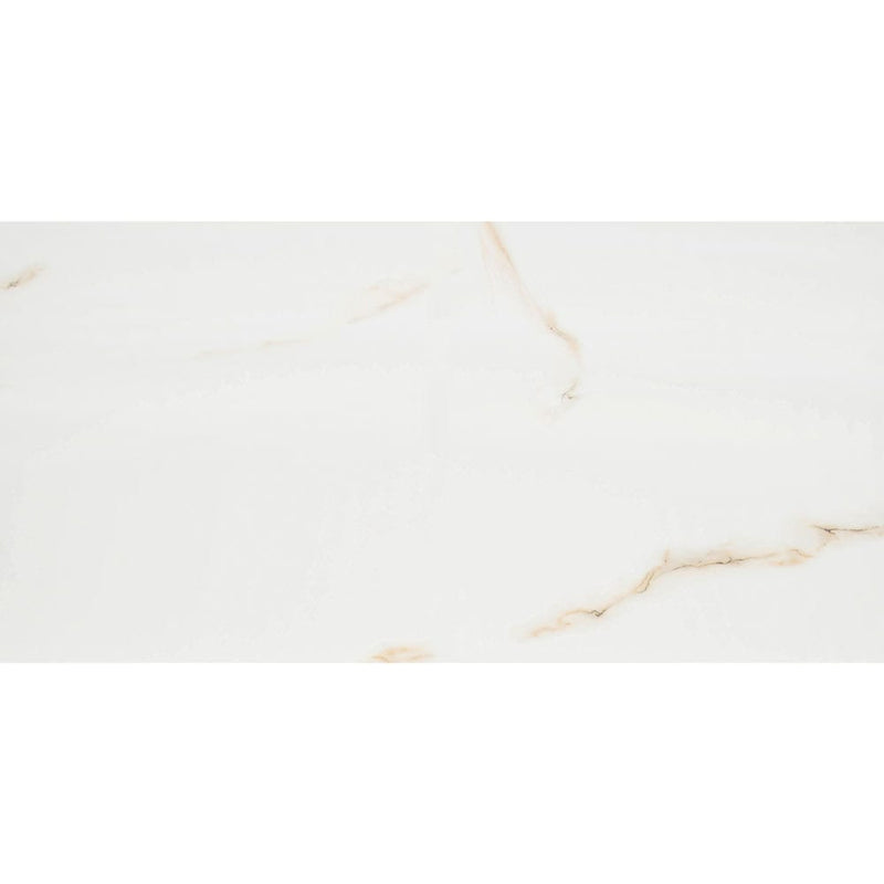 MSI aria bianco 24x48 polished porcelain floor wall tile NARIBIA2448P product shot one tile top view