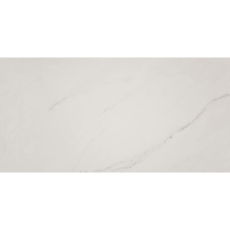 MSI aria ice 12x24 polished porcelain floor wall tile NARICE1224P product shot one tile top view
