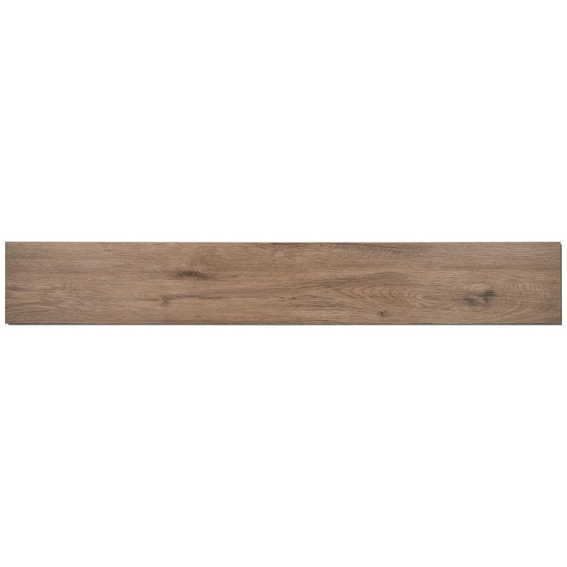 MSI everlife cyrus fauna rigid core luxury vinyl plank flooring VTRFAUNA7X48-5MM-12MIL one plank top view