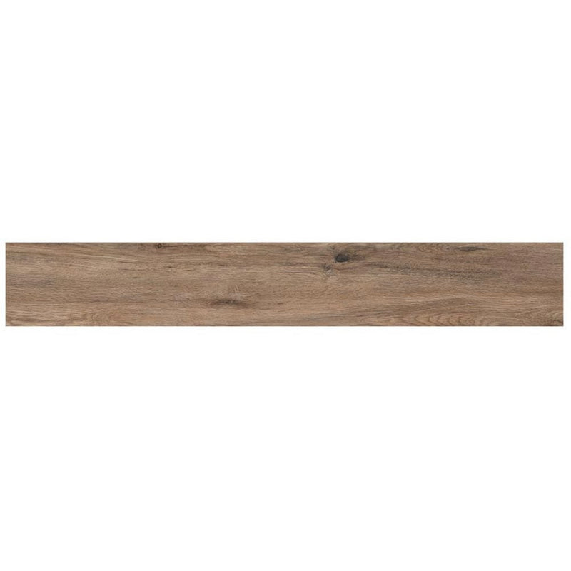 MSI everlife cyrus xl fauna rigid core luxury vinyl plank flooring VTRXLFAUN9X60-5MM-12MIL one plank top view