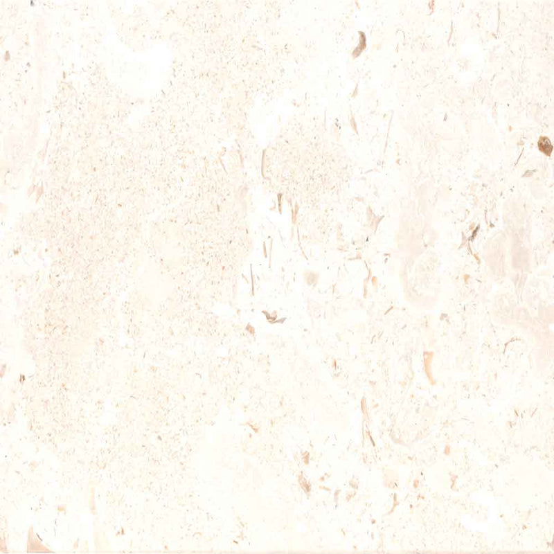 Mayra White 16"x24" Tumbled Limestone Paver - MSI Collection